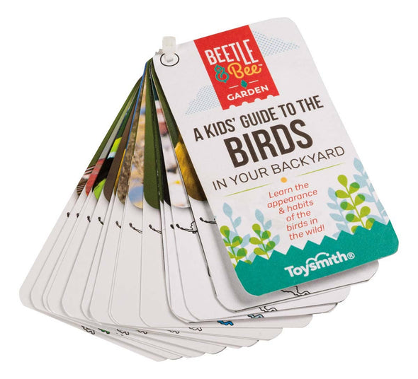 Beetle & Bee Little Birder Kit - Bird Watching Set