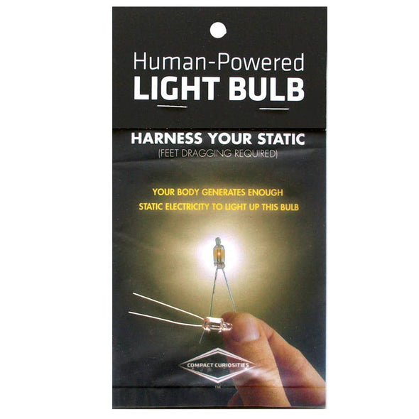 Human Powered Light Bulb Kit