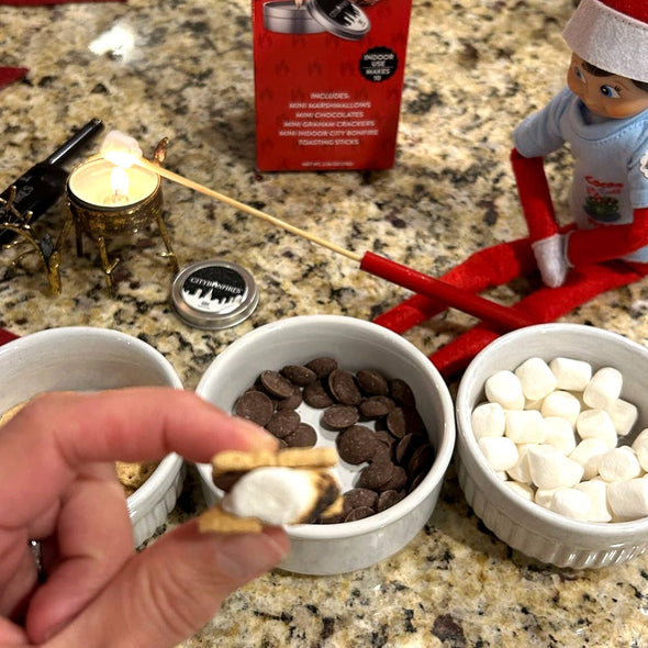 Mini S'mores Kit